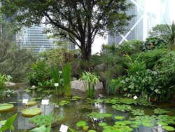 Parc de Hong Kong