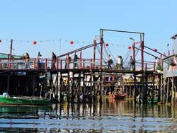Tai O